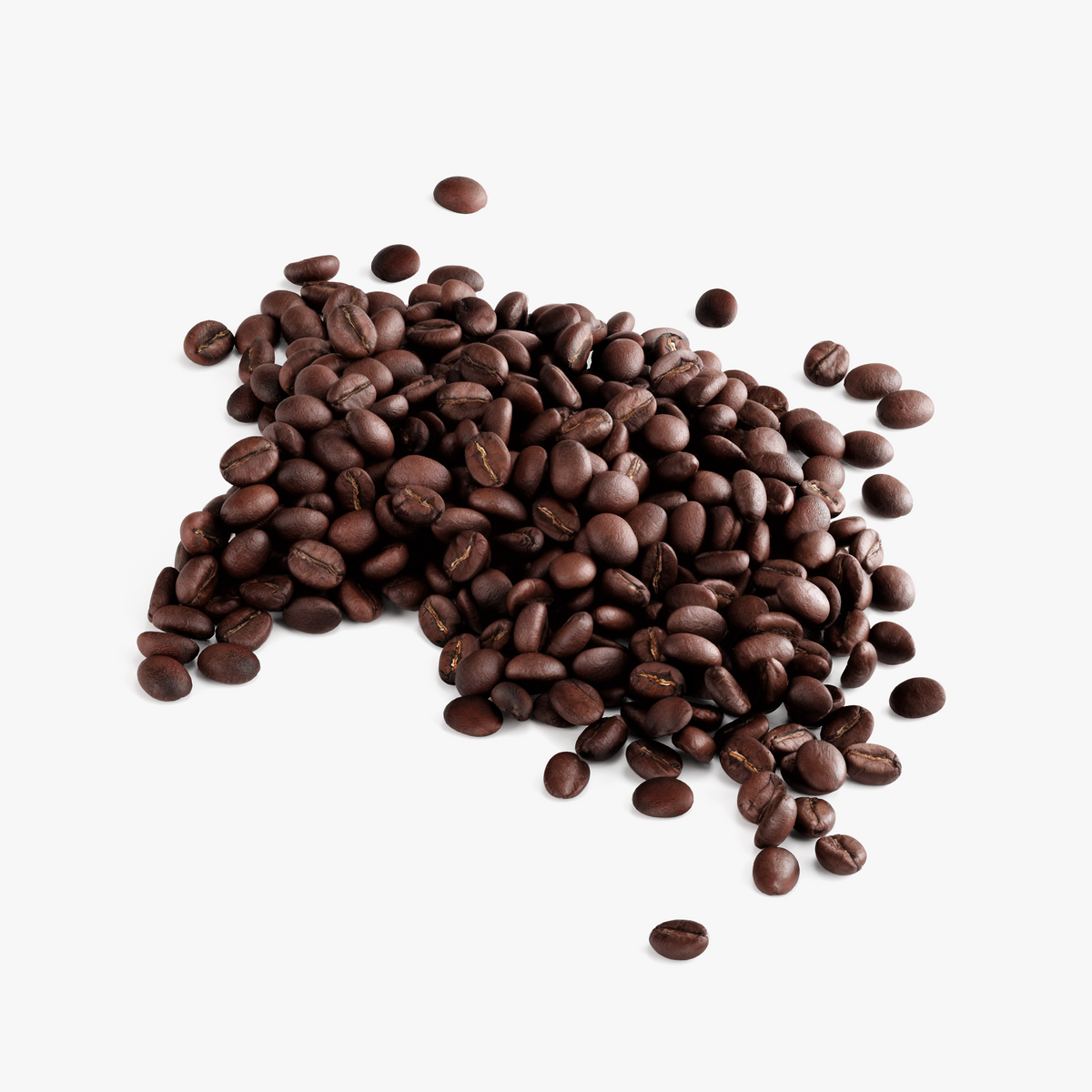 RICH HAZELNUT COFFEE | Medium Roast